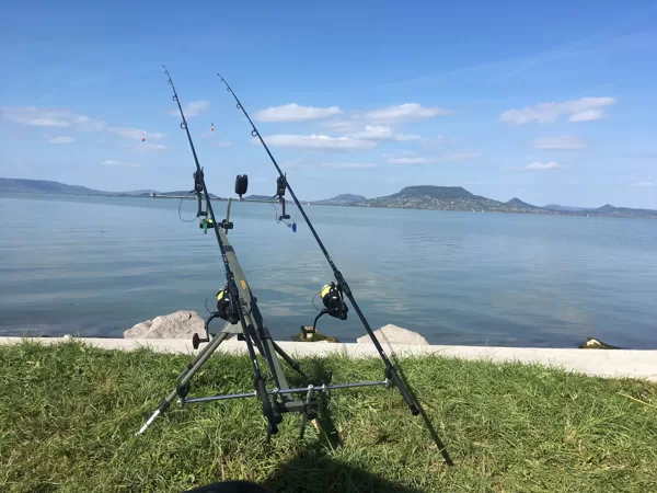 NBBH 2018